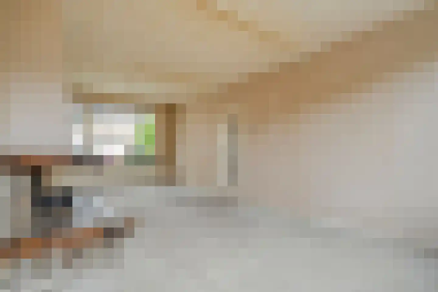Timmermansstraat 8 Nieuw Heeten thumbnail 15
