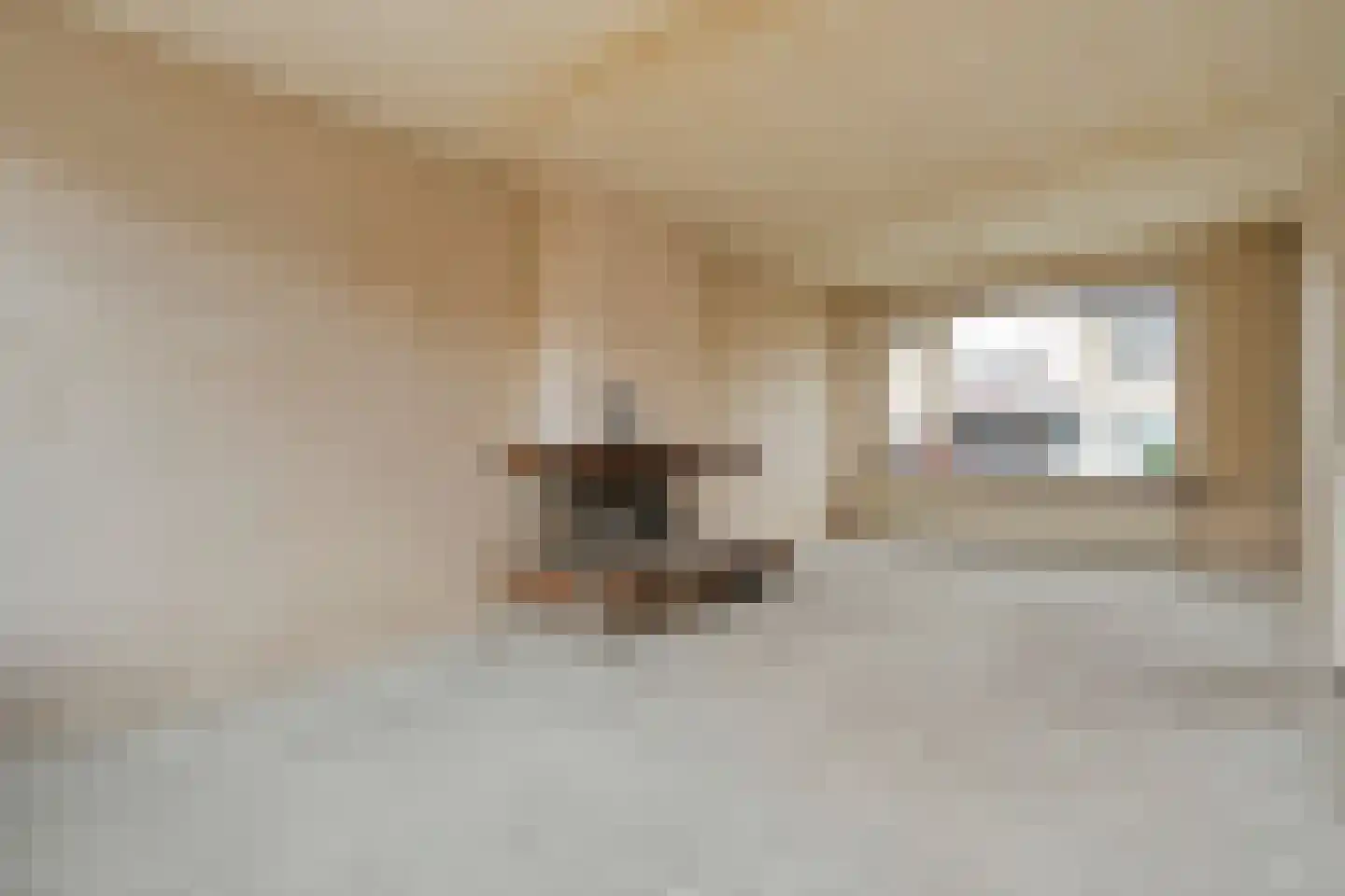 Timmermansstraat 8 Nieuw Heeten thumbnail 16