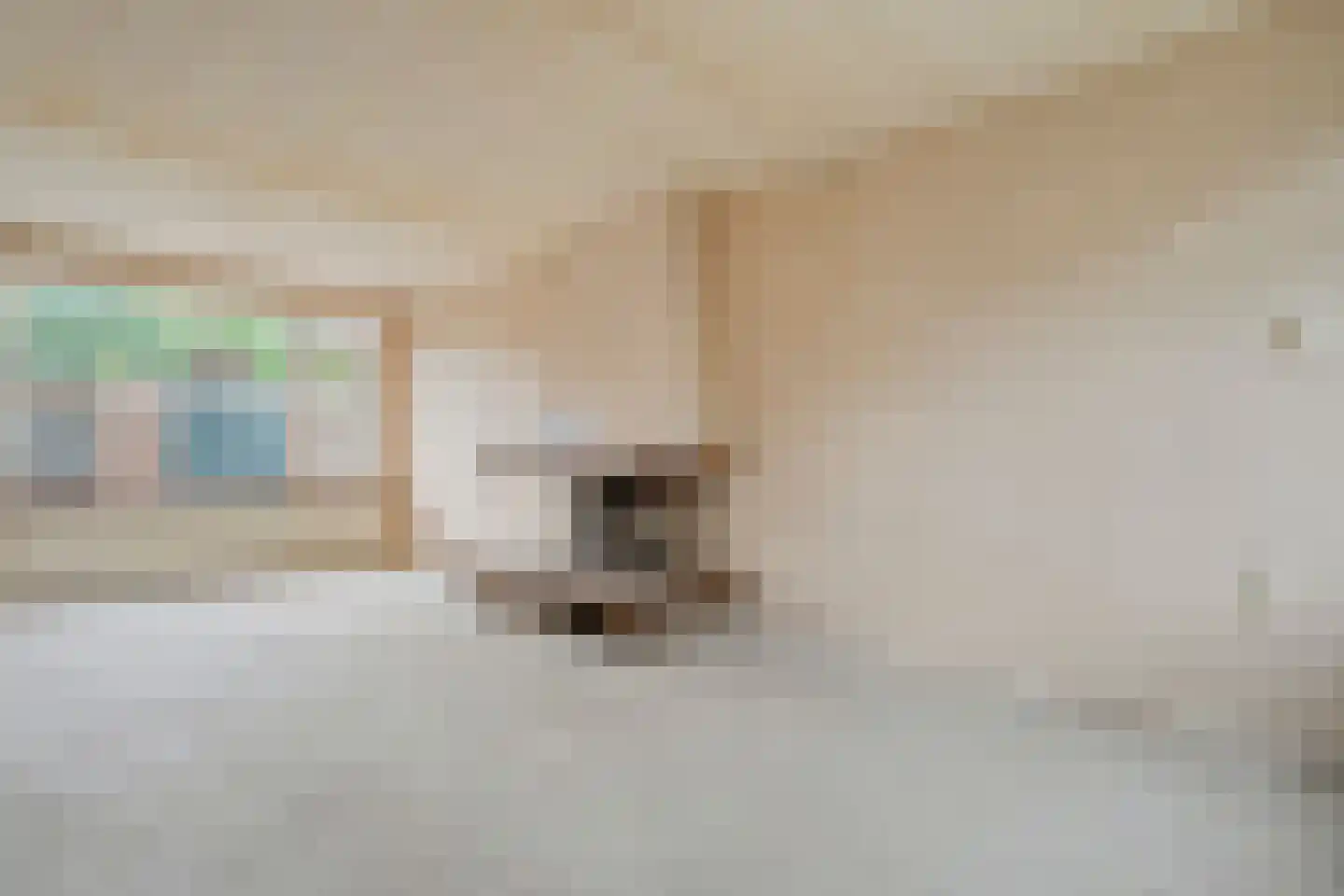 Timmermansstraat 8 Nieuw Heeten thumbnail 18