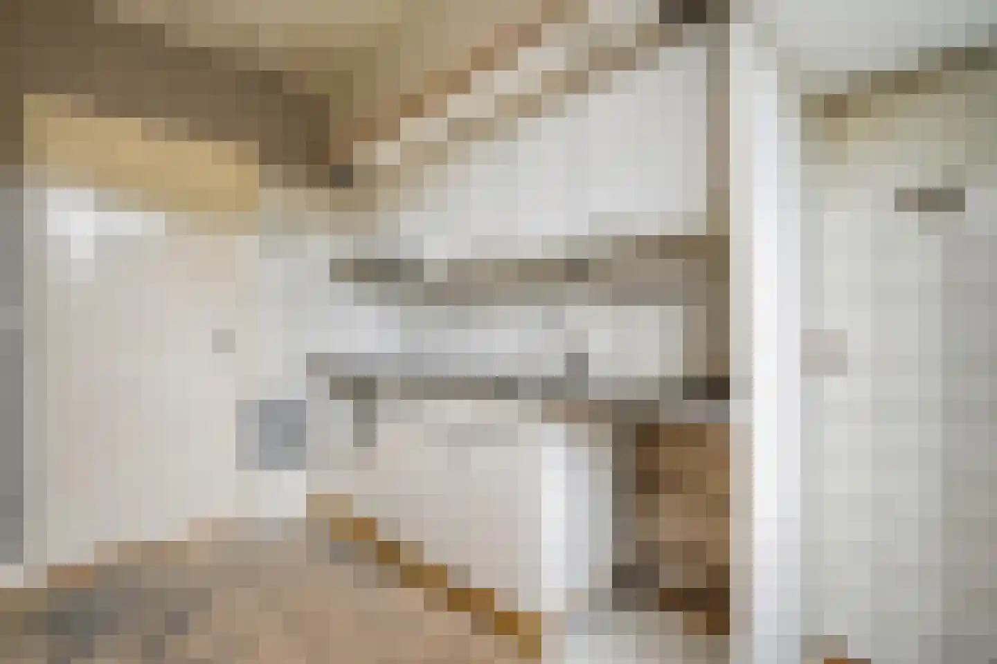Timmermansstraat 8 Nieuw Heeten thumbnail 20