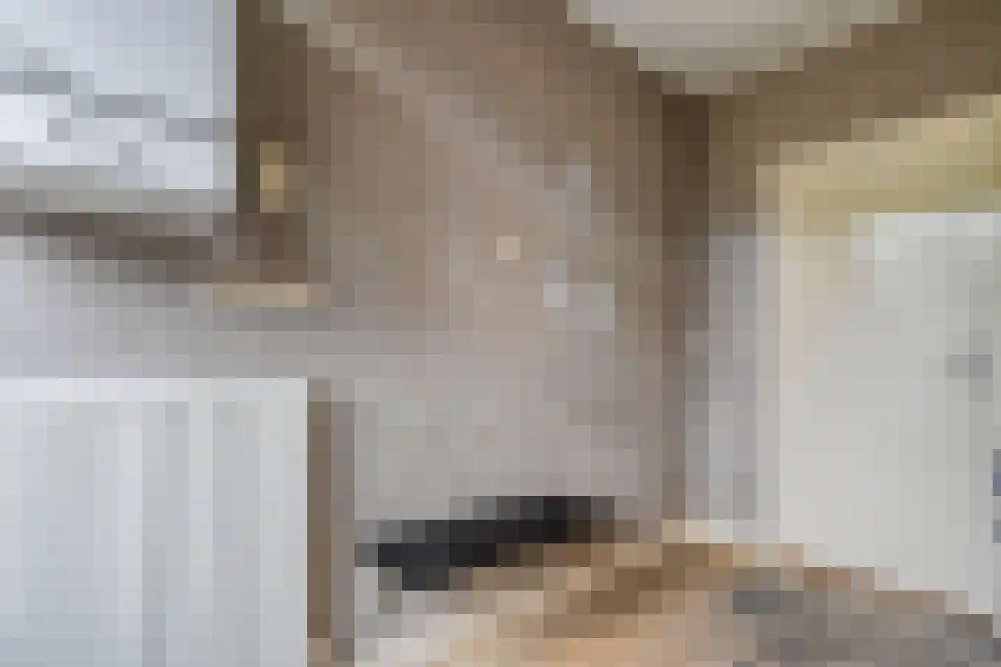 Timmermansstraat 8 Nieuw Heeten thumbnail 21