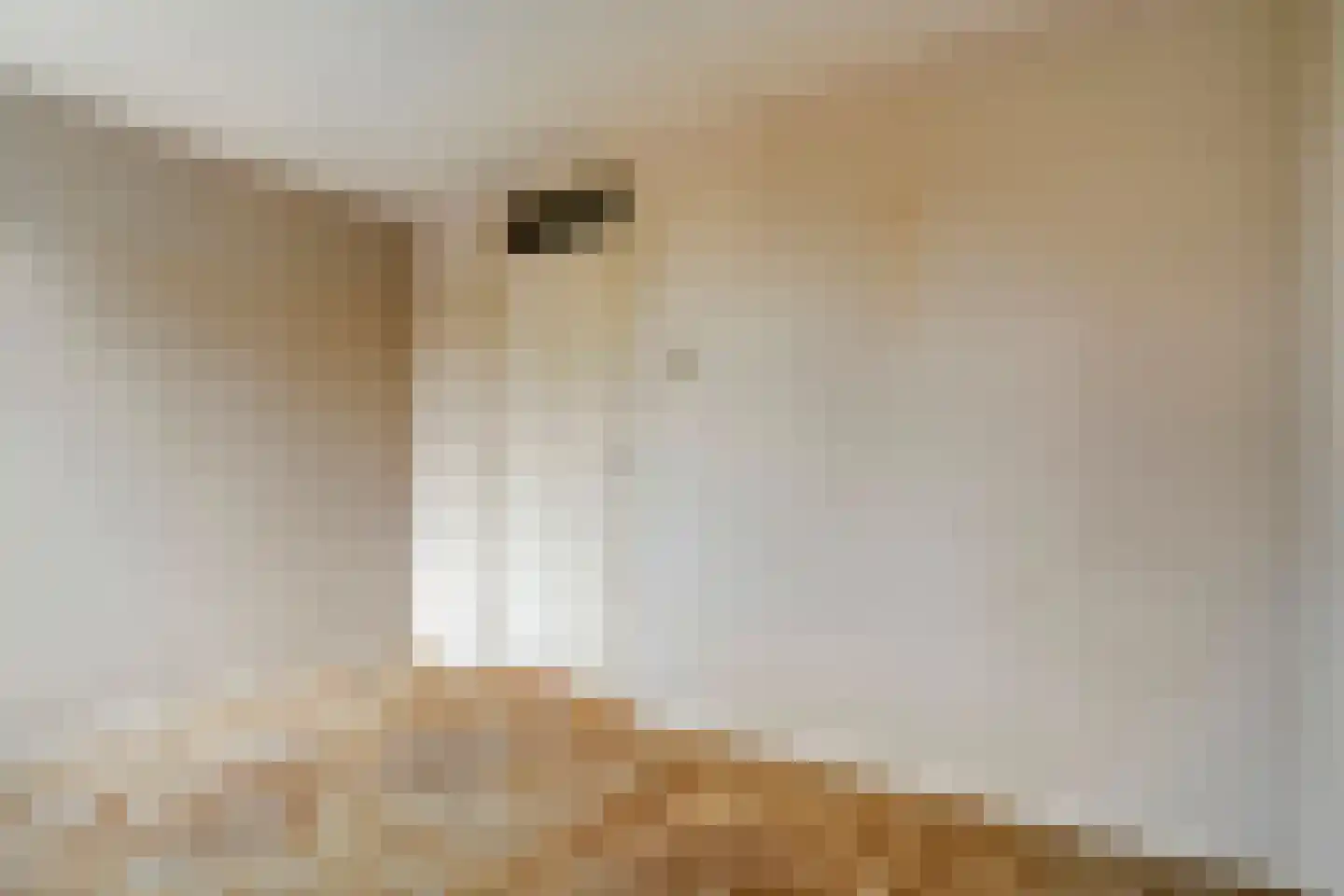 Timmermansstraat 8 Nieuw Heeten thumbnail 24