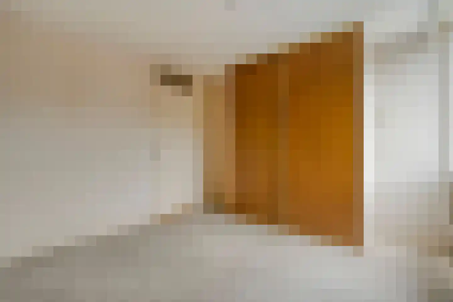 Timmermansstraat 8 Nieuw Heeten thumbnail 30