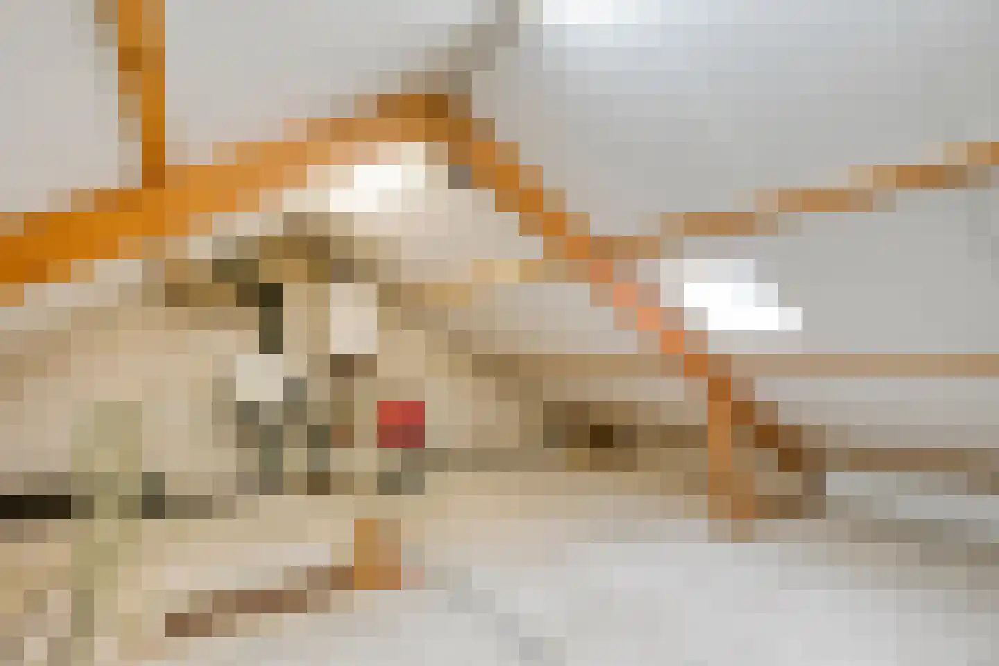 Timmermansstraat 8 Nieuw Heeten thumbnail 32