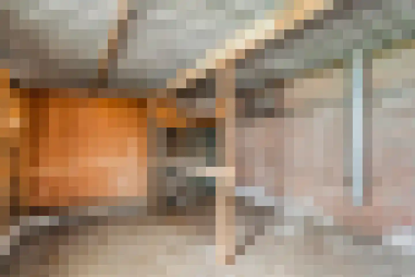 Timmermansstraat 8 Nieuw Heeten thumbnail 34