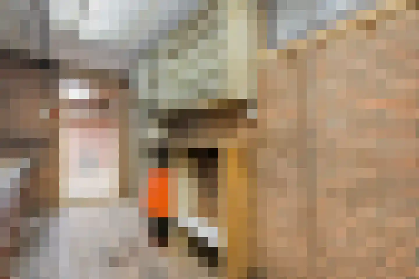 Timmermansstraat 8 Nieuw Heeten thumbnail 39