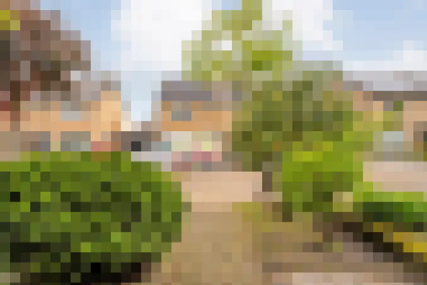 Timmermansstraat 8 Nieuw Heeten thumbnail 4