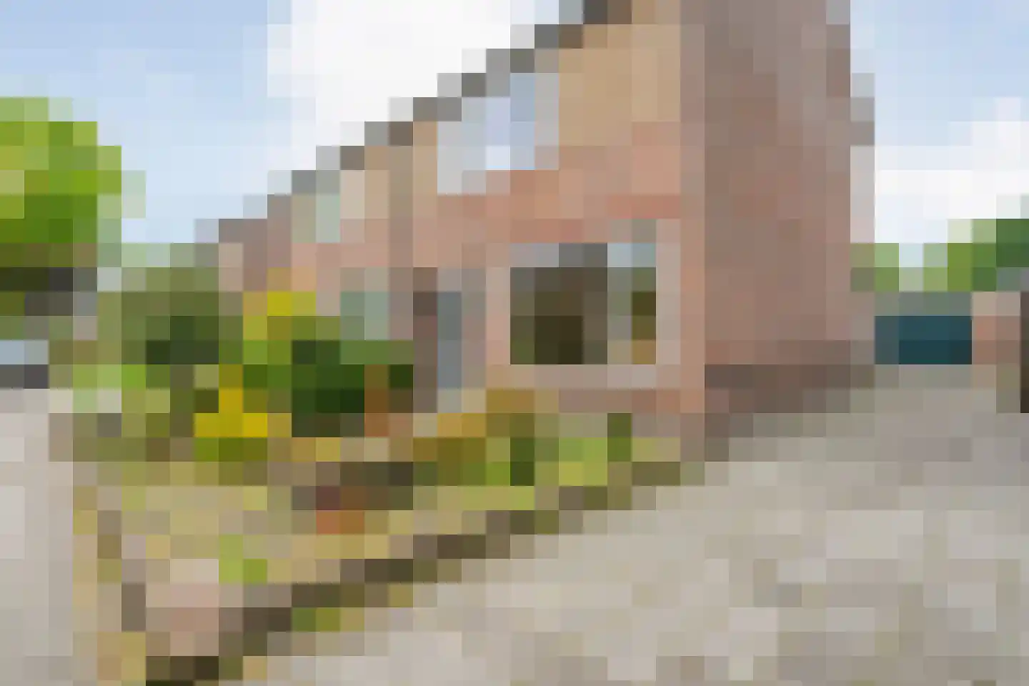 Timmermansstraat 8 Nieuw Heeten thumbnail 6