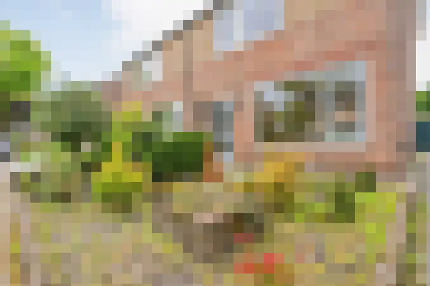 Timmermansstraat 8 Nieuw Heeten thumbnail 7