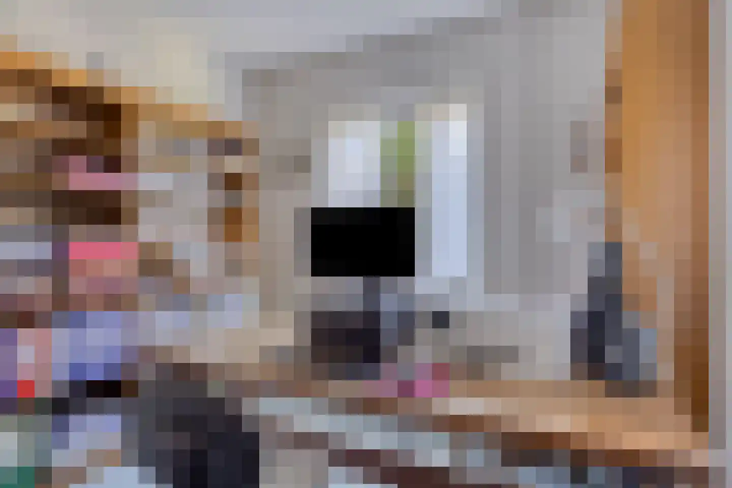 Timmermansweg 11 Schalkhaar thumbnail 20