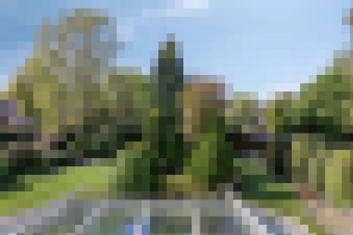 Timmermansweg 11 Schalkhaar thumbnail 25