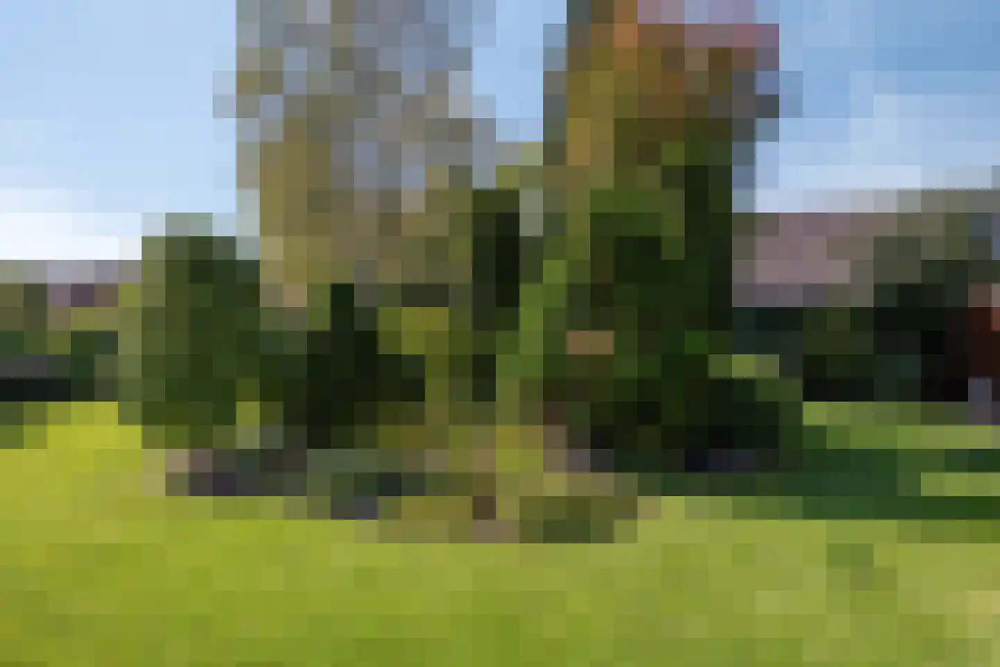 Timmermansweg 11 Schalkhaar thumbnail 34