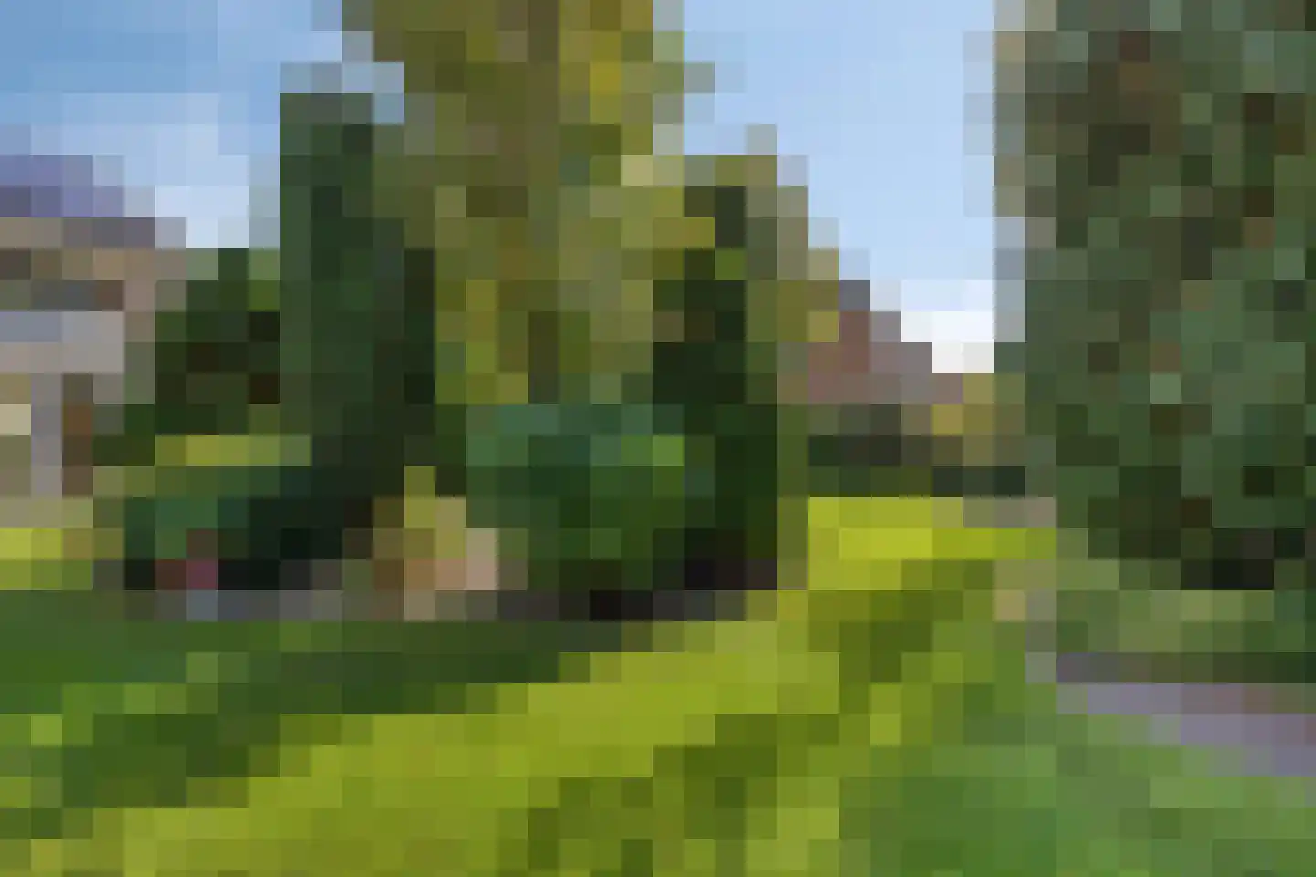 Timmermansweg 11 Schalkhaar thumbnail 36