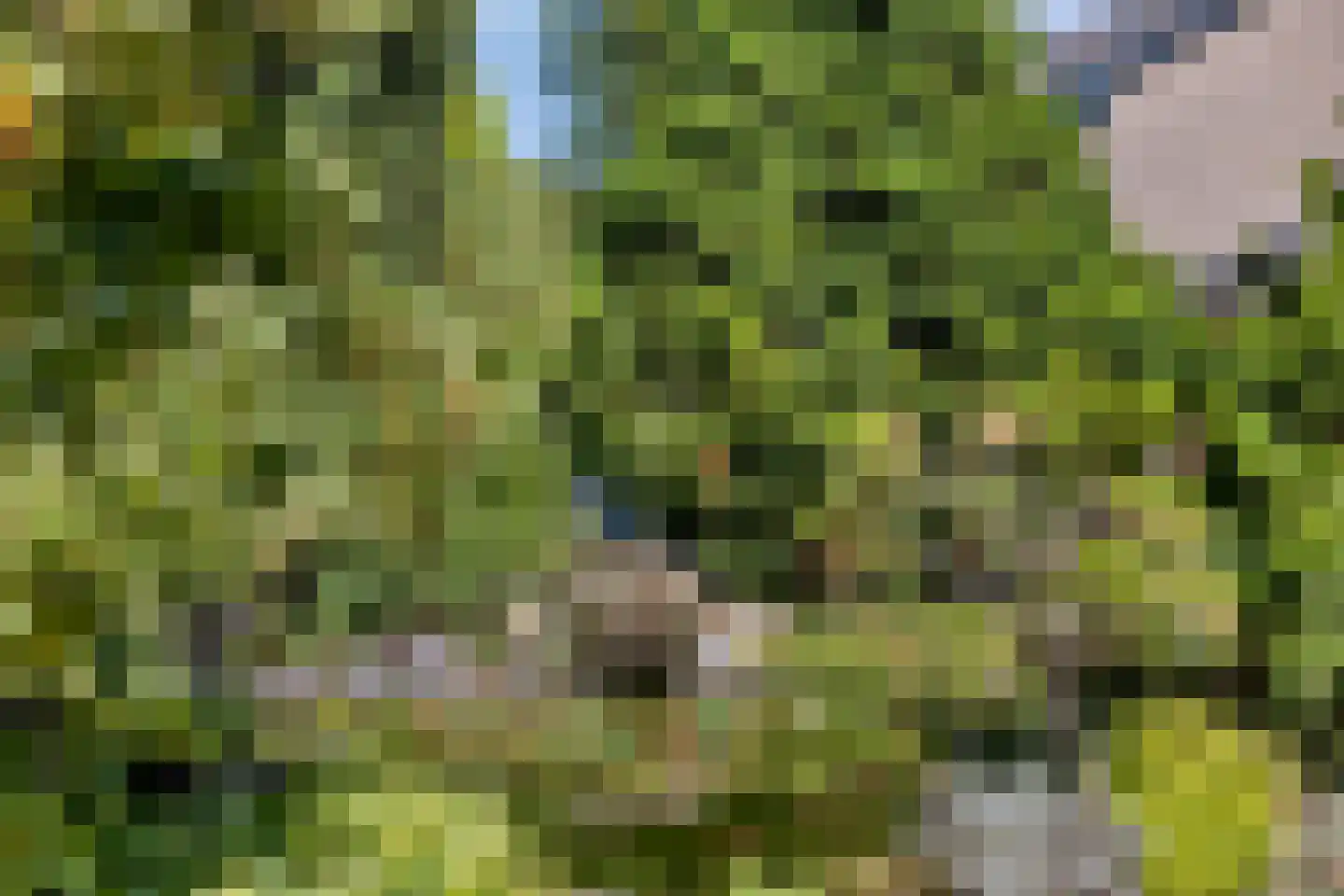 Timmermansweg 11 Schalkhaar thumbnail 44