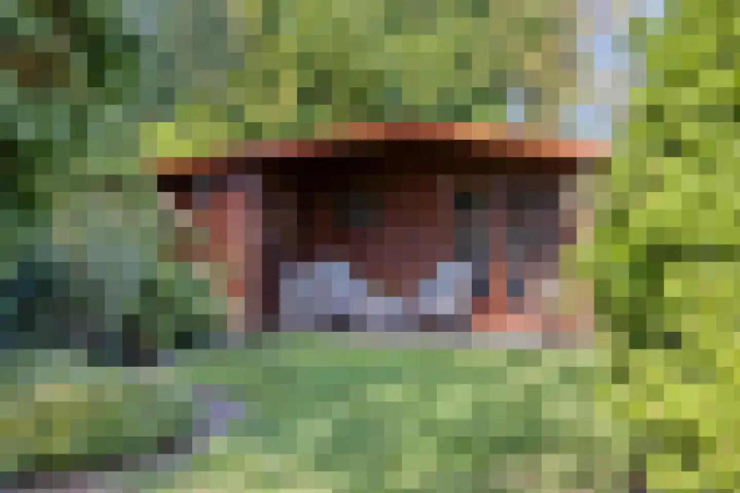 Timmermansweg 11 Schalkhaar thumbnail 46