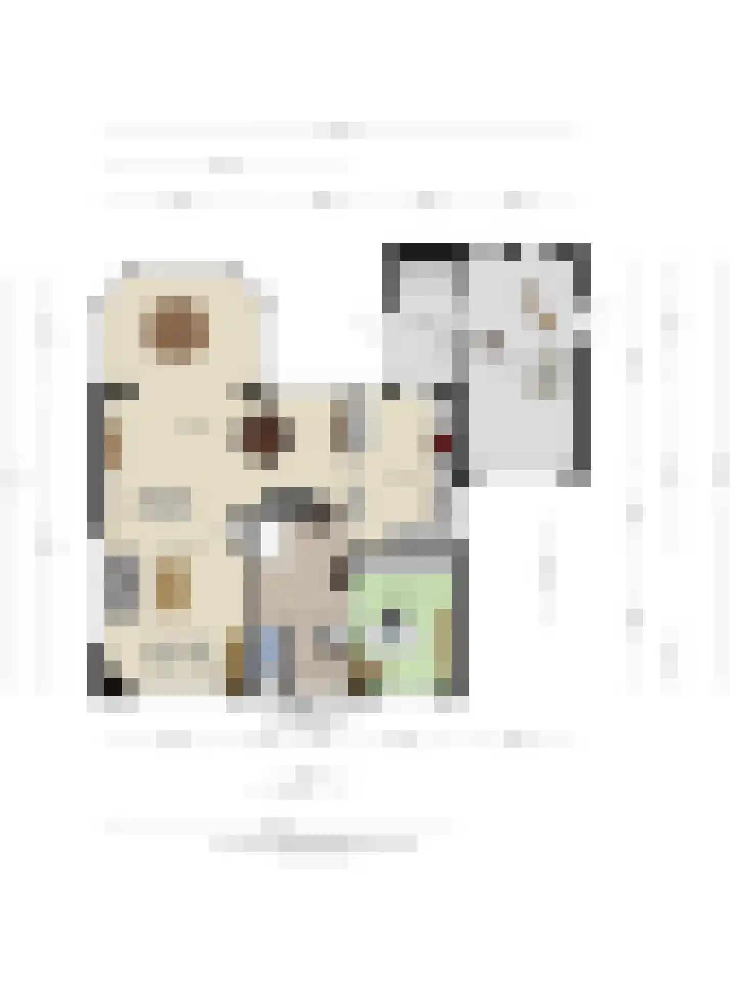 Timmermansweg 11 Schalkhaar thumbnail 51