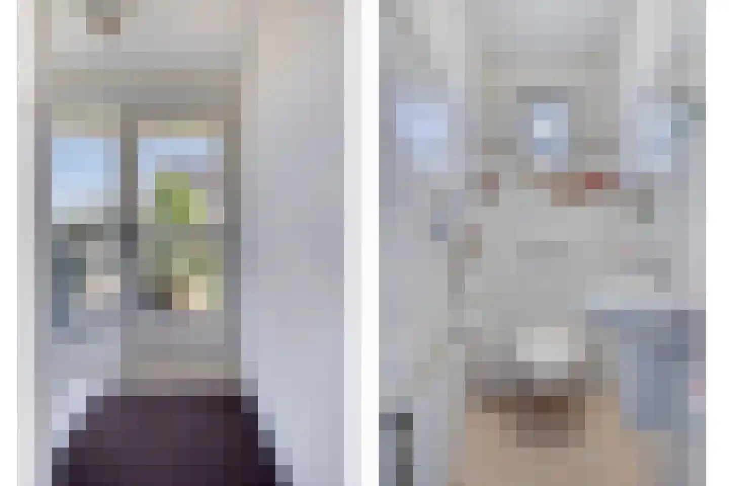 Timmermansweg 11 Schalkhaar thumbnail 8