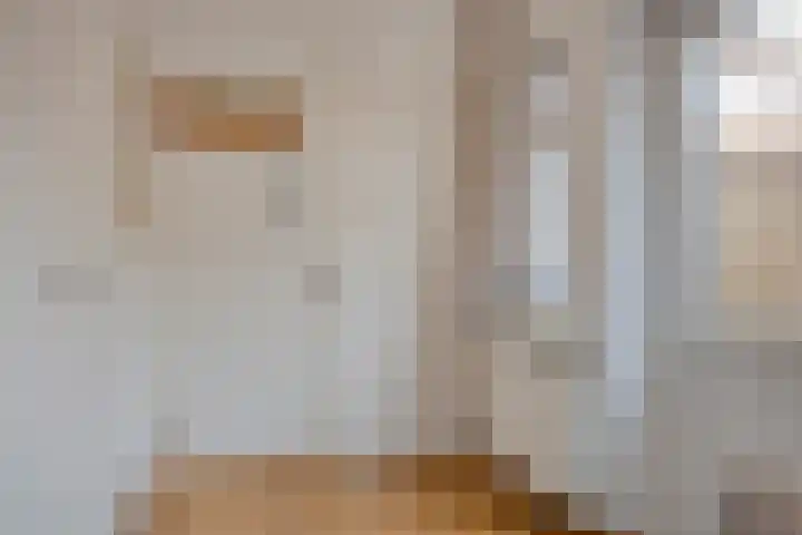 Timmermansweg 23 Schalkhaar thumbnail 10