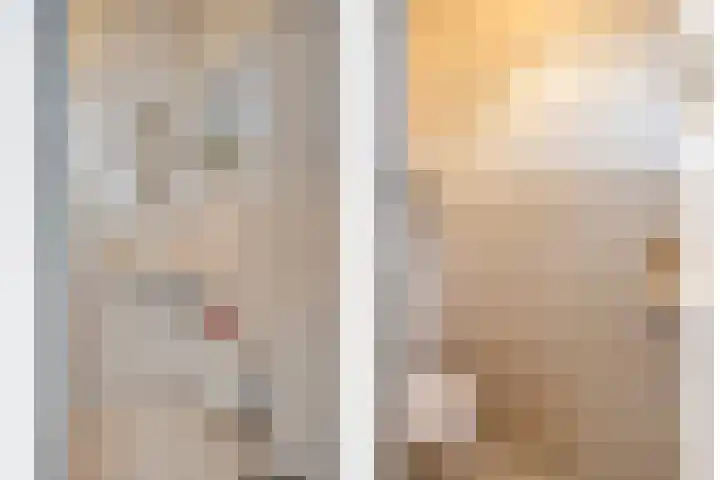 Timmermansweg 23 Schalkhaar thumbnail 12