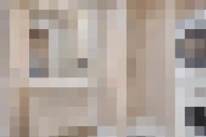 Timmermansweg 23 Schalkhaar thumbnail 13
