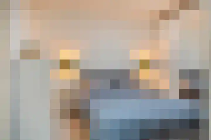 Timmermansweg 23 Schalkhaar thumbnail 14