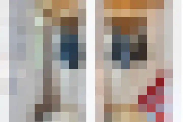 Timmermansweg 23 Schalkhaar thumbnail 17