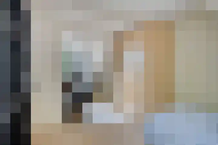 Timmermansweg 23 Schalkhaar thumbnail 19