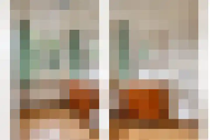 Timmermansweg 23 Schalkhaar thumbnail 22