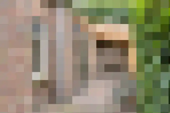 Timmermansweg 23 Schalkhaar thumbnail 23