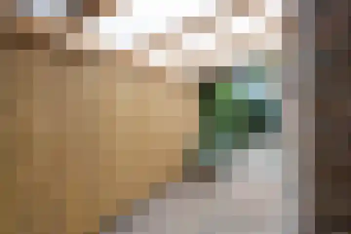 Timmermansweg 23 Schalkhaar thumbnail 25