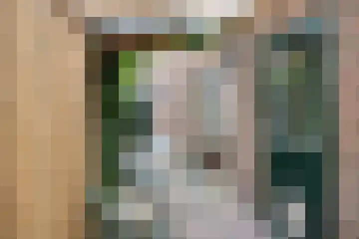 Timmermansweg 23 Schalkhaar thumbnail 26