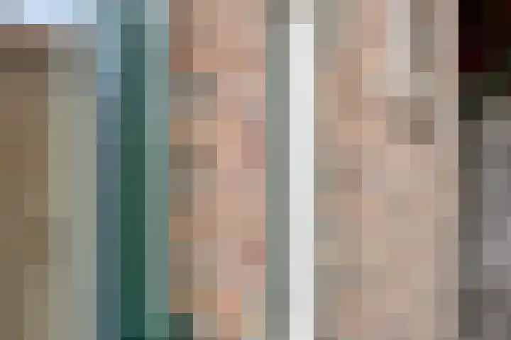 Timmermansweg 23 Schalkhaar thumbnail 28