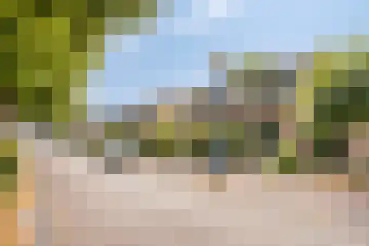 Timmermansweg 23 Schalkhaar thumbnail 30