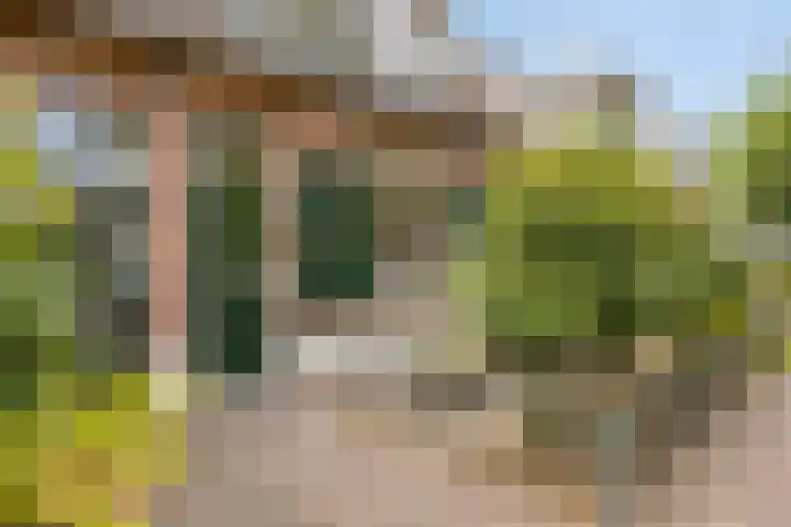 Timmermansweg 23 Schalkhaar thumbnail 34