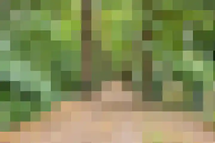 Timmermansweg 23 Schalkhaar thumbnail 36