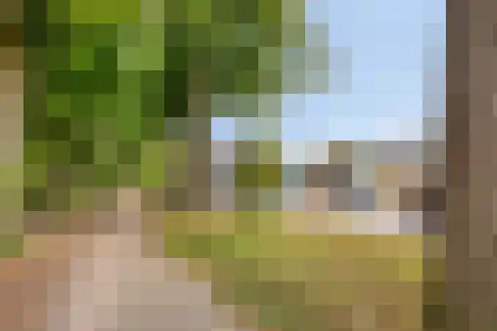Timmermansweg 23 Schalkhaar thumbnail 37