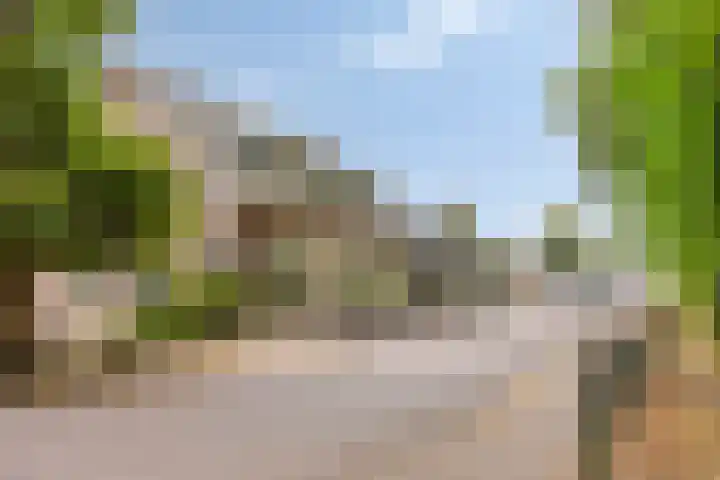 Timmermansweg 23 Schalkhaar thumbnail 38