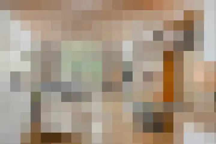 Timmermansweg 23 Schalkhaar thumbnail 5
