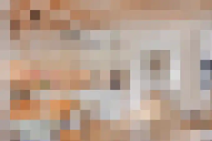 Timmermansweg 23 Schalkhaar thumbnail 6