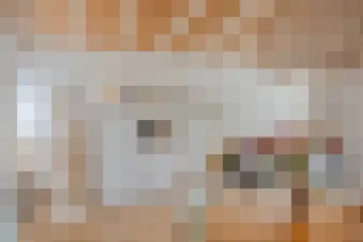 Timmermansweg 23 Schalkhaar thumbnail 8