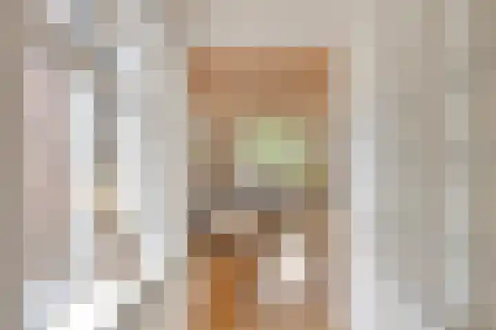 Timmermansweg 23 Schalkhaar thumbnail 9