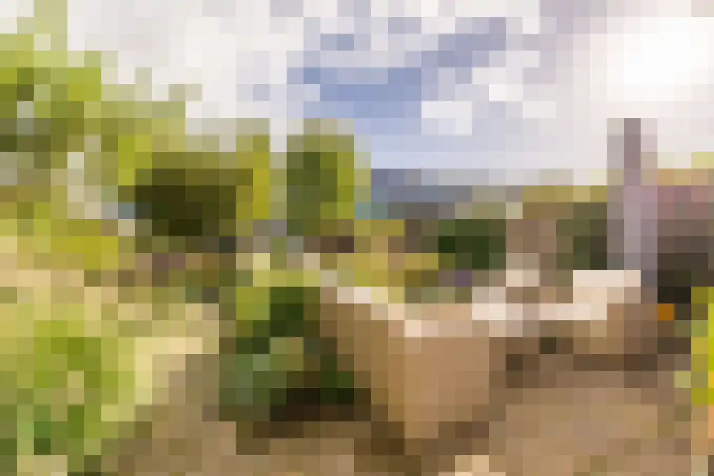 Timmermanswerf 12 Oosthuizen thumbnail 43