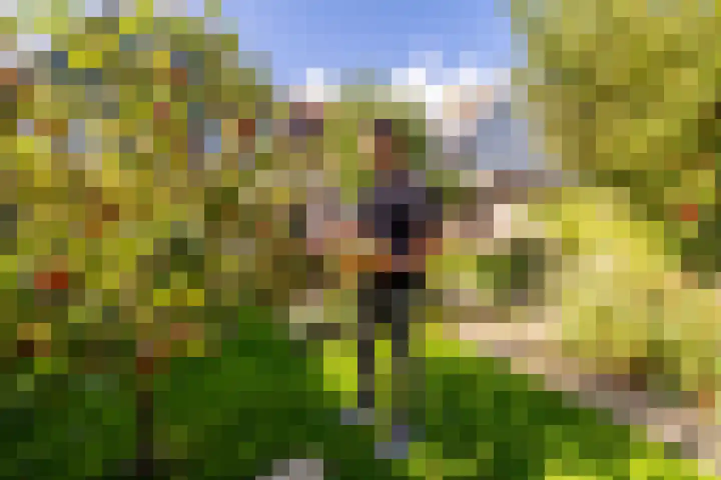 Timmermanswerf 12 Oosthuizen thumbnail 46