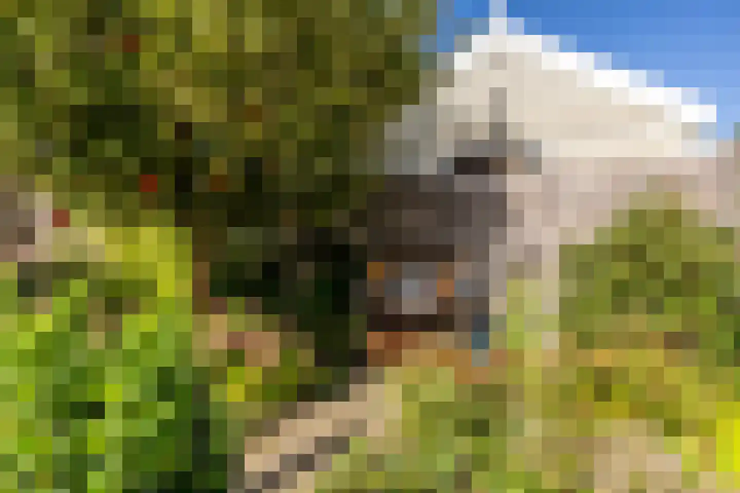 Timmermanswerf 12 Oosthuizen thumbnail 48