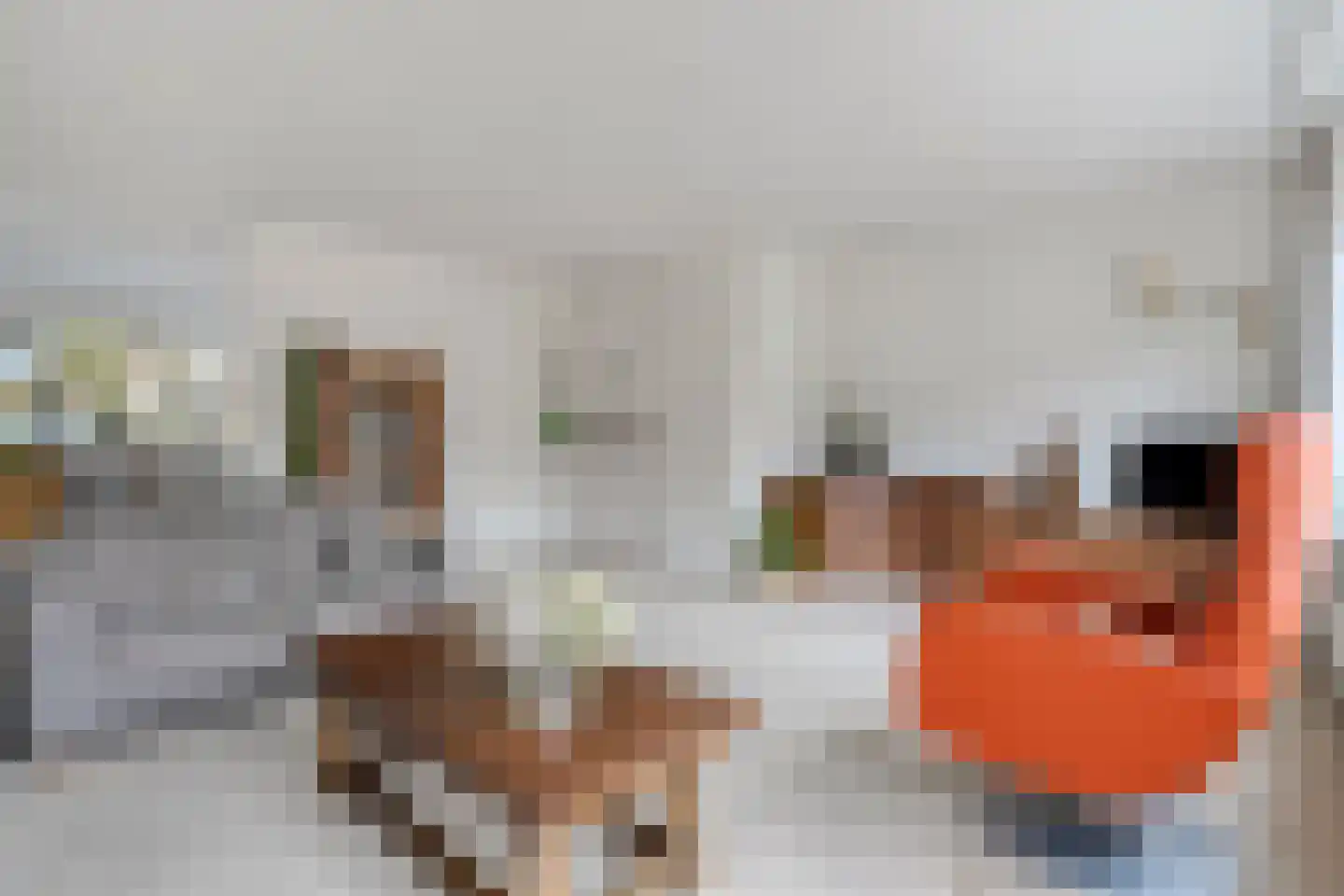 Timmermeesterslaan 36 Zwolle thumbnail 12