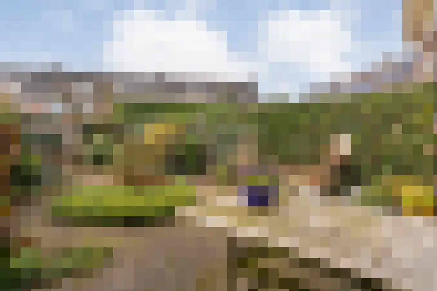 Timmermeesterslaan 36 Zwolle thumbnail 31