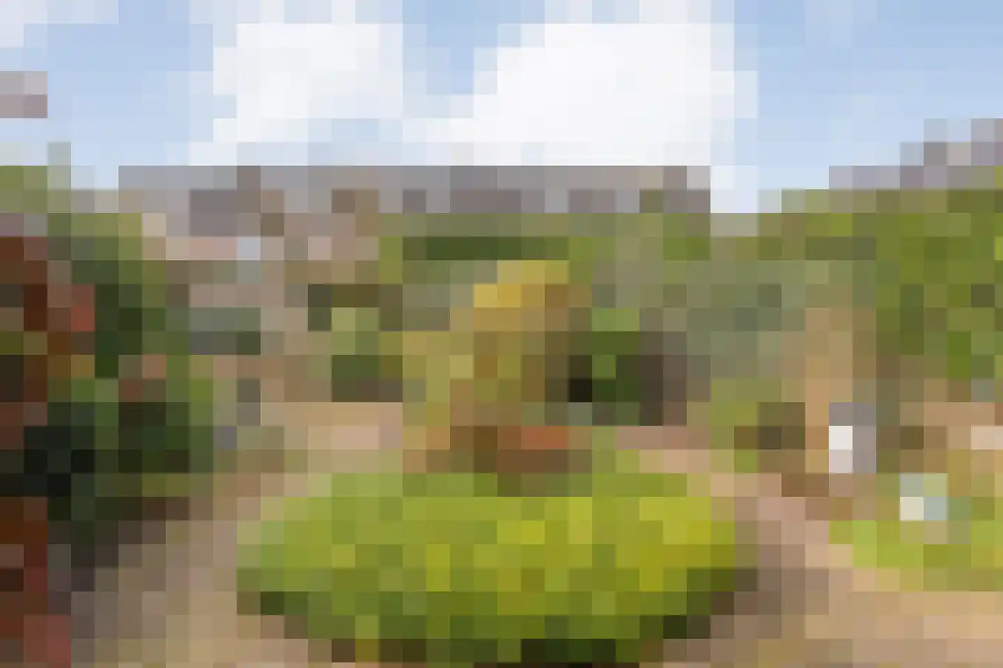 Timmermeesterslaan 36 Zwolle thumbnail 33