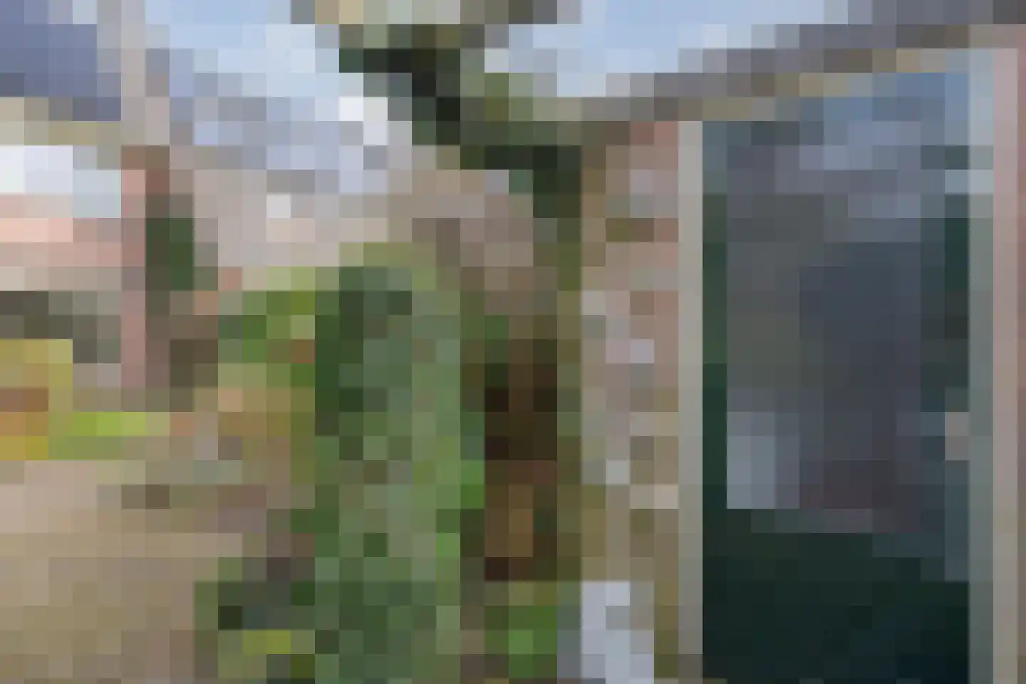 Timmermeesterslaan 36 Zwolle thumbnail 35