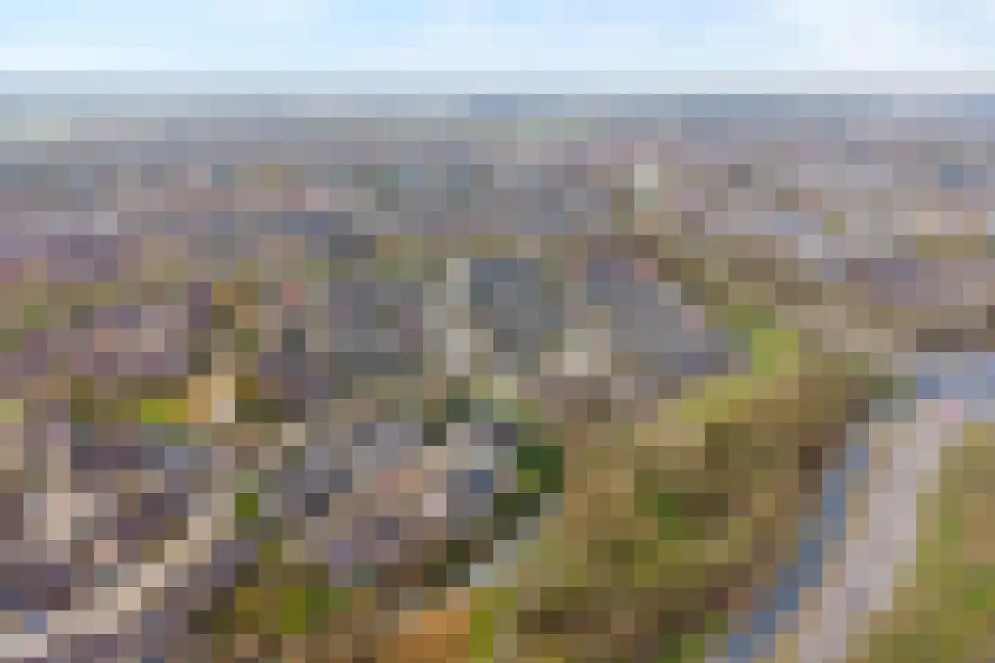 Timmermeesterslaan 36 Zwolle thumbnail 7