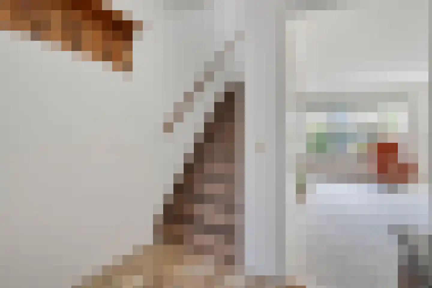 Timmermeesterslaan 36 Zwolle thumbnail 9